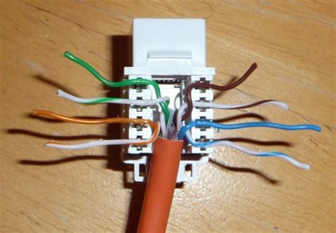 cat6 and electrical plug duplex box|cat6 to ethernet connection.